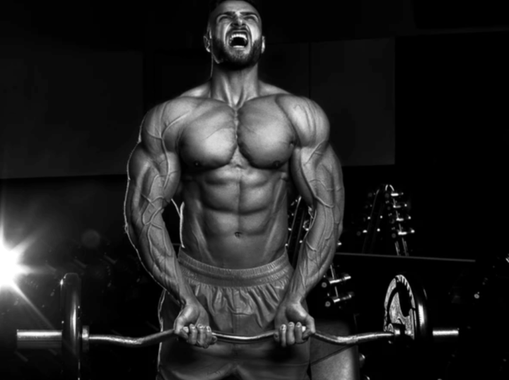 Muscle Gain XSARM